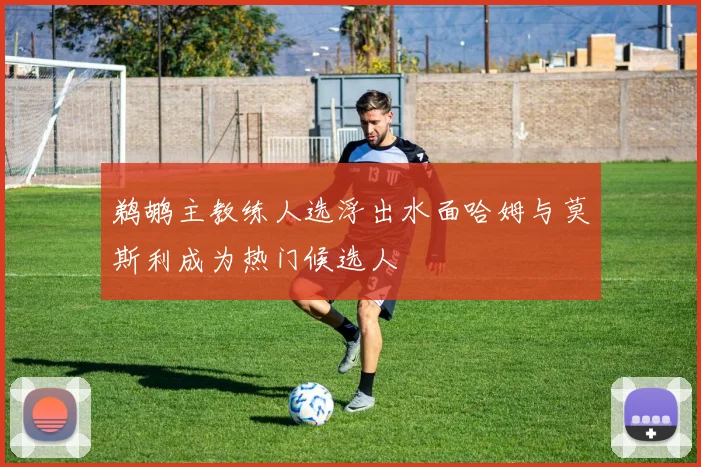 鹈鹕主教练人选浮出水面哈姆与莫斯利成为热门候选人