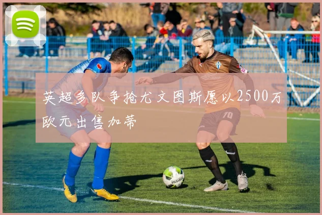 英超多队争抢尤文图斯愿以2500万欧元出售加蒂